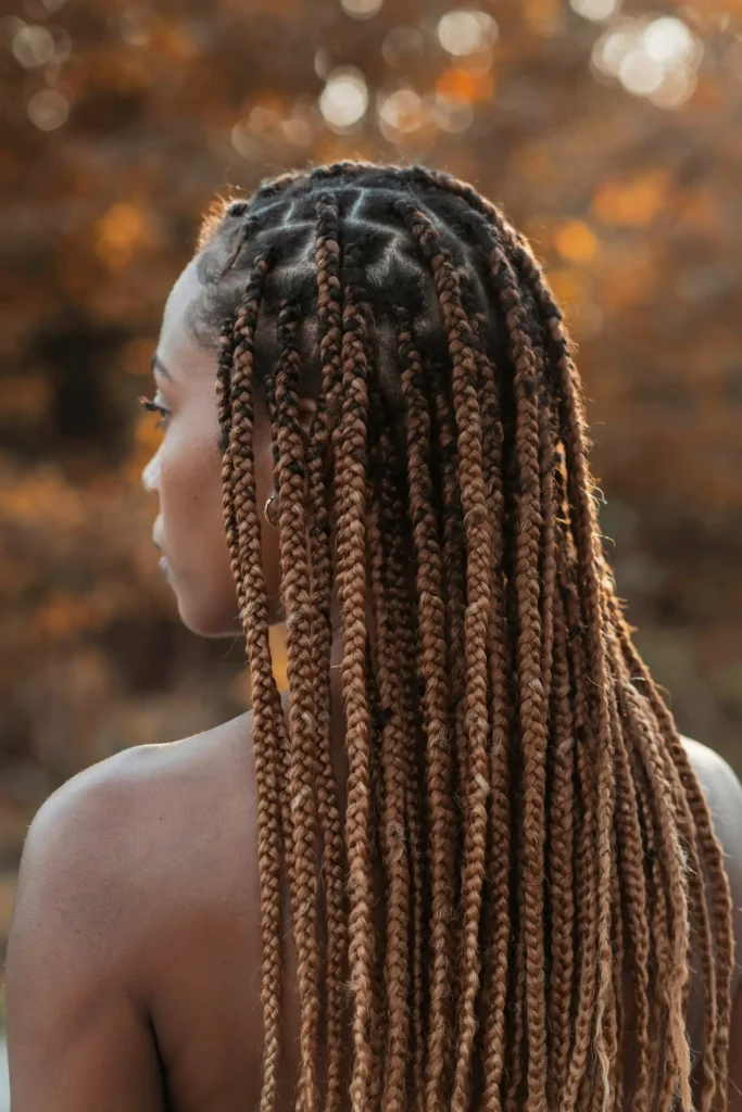 Color 33 and 27 Braids for a Warm Fall Glow